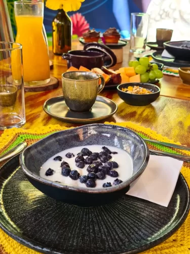 large_Cafe_da_Manha_em_Terra_de_Kuri_14_f9bc37857c