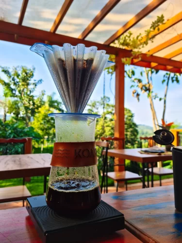 large_Cafe_da_Manha_em_Terra_de_Kuri_15_d3c3590b16