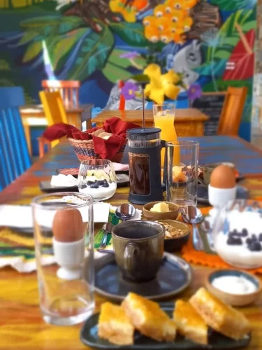 large_Cafe_da_Manha_em_Terra_de_Kuri_5_61458d557f